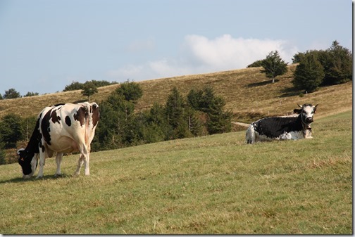 MARTIN_2018_08_28_1516 MARTIN_2018_08_28_1516