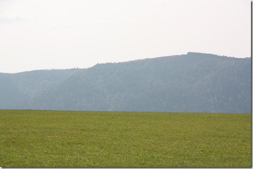 MARTIN_2018_08_28_1517 MARTIN_2018_08_28_1517