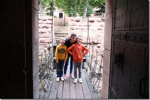 MARTIN_2018_08_30_1524 MARTIN_2018_08_30_1524