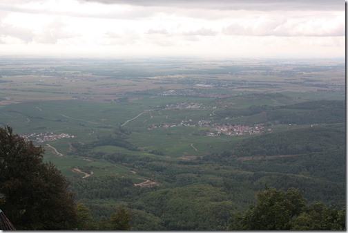 MARTIN_2018_08_30_1528 MARTIN_2018_08_30_1528