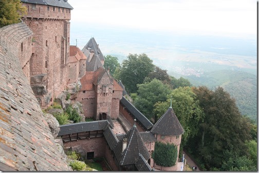 MARTIN_2018_08_30_1535 MARTIN_2018_08_30_1535