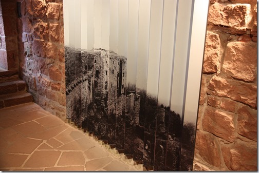 MARTIN_2018_08_30_1537 MARTIN_2018_08_30_1537