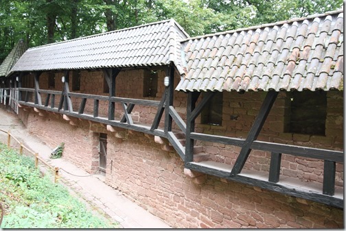 MARTIN_2018_08_30_1545 MARTIN_2018_08_30_1545