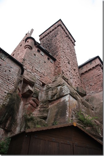 MARTIN_2018_08_30_1546 MARTIN_2018_08_30_1546