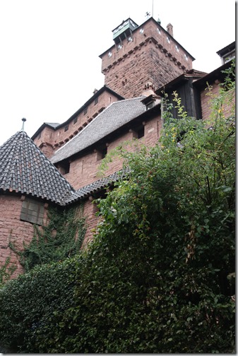 MARTIN_2018_08_30_1553 MARTIN_2018_08_30_1553