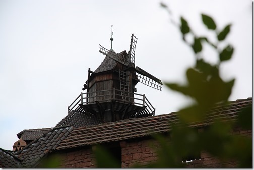 MARTIN_2018_08_30_1556 MARTIN_2018_08_30_1556