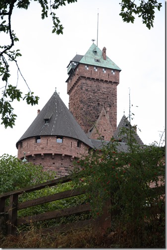 MARTIN_2018_08_30_1561 MARTIN_2018_08_30_1561