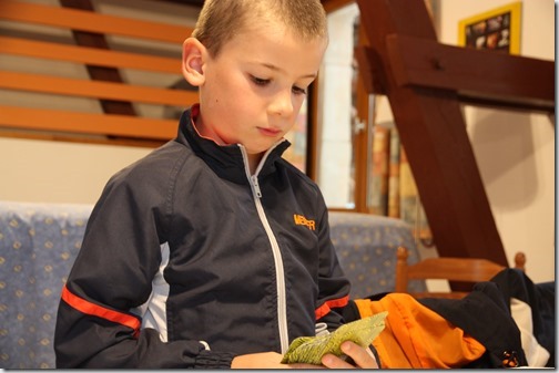 MARTIN_2018_08_31_1566 MARTIN_2018_08_31_1566