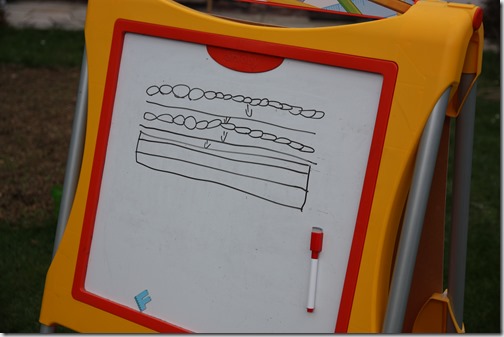 MARTIN_2019_03_19_0038