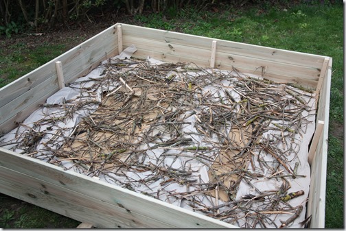 MARTIN_2019_03_19_0040