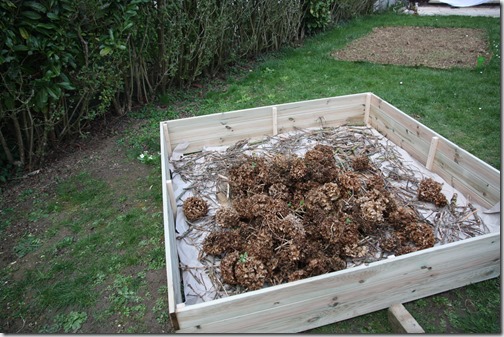 MARTIN_2019_03_19_0042