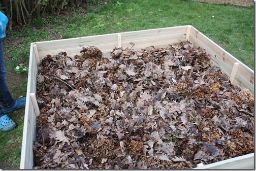 MARTIN_2019_03_19_0044