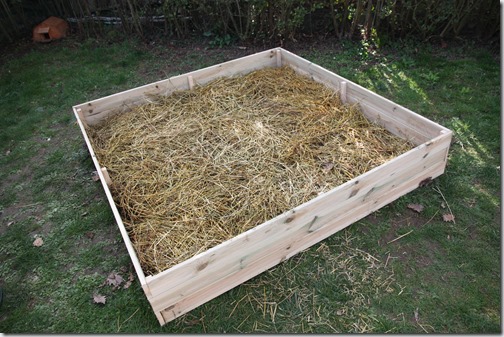 MARTIN_2019_03_19_0045