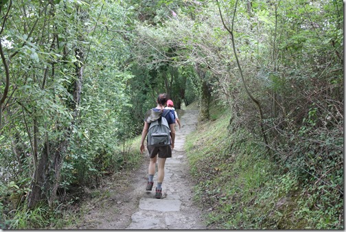 MARTIN_2019_07_18_0172