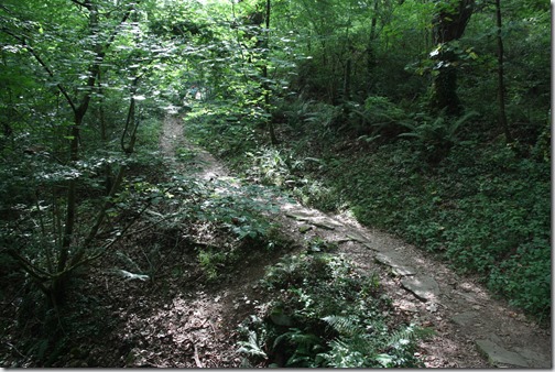 MARTIN_2019_07_18_0177