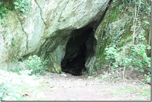 MARTIN_2019_07_18_0179