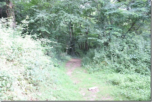 MARTIN_2019_07_18_0188