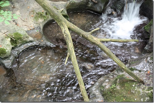 MARTIN_2019_07_18_0190