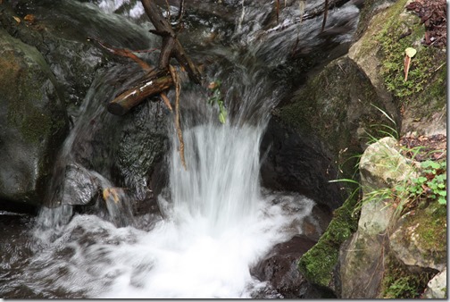 MARTIN_2019_07_18_0191