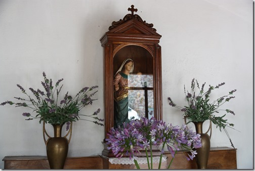 MARTIN_2019_07_18_0206