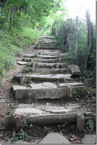 MARTIN_2019_07_18_0215