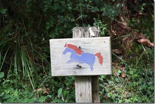 MARTIN_2019_07_18_0217