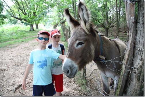 MARTIN_2019_07_18_0222