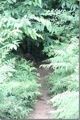 MARTIN_2019_07_18_0236