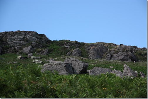 MARTIN_2019_07_18_0301