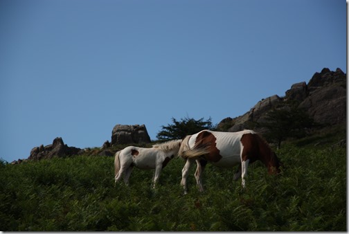 MARTIN_2019_07_18_0303