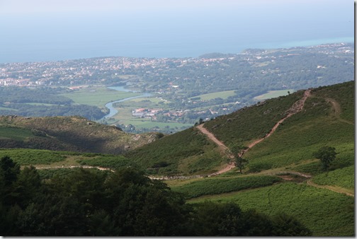 MARTIN_2019_07_18_0314