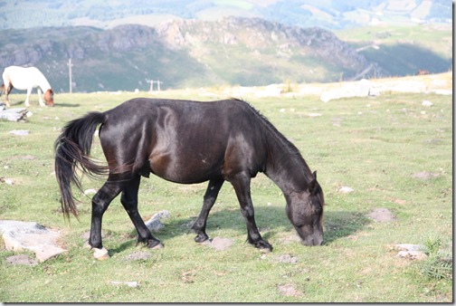 MARTIN_2019_07_18_0347