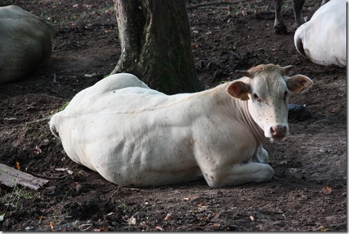 MARTIN_2019_07_21_0389