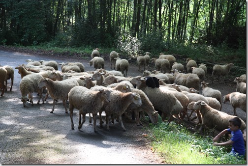 MARTIN_2019_07_21_0393