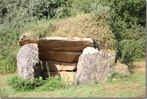 MARTIN_2019_07_21_0394