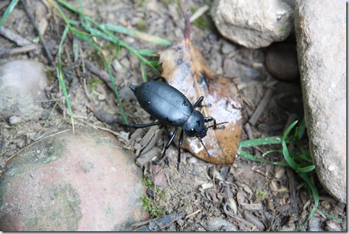 MARTIN_2019_07_21_0399