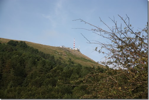 MARTIN_2019_07_21_0407