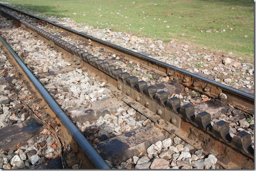 MARTIN_2019_07_21_0409