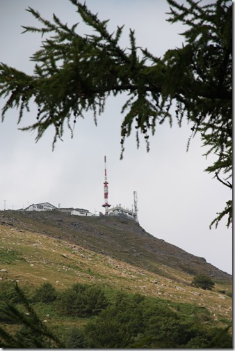 MARTIN_2019_07_21_0425