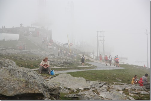 MARTIN_2019_07_21_0461