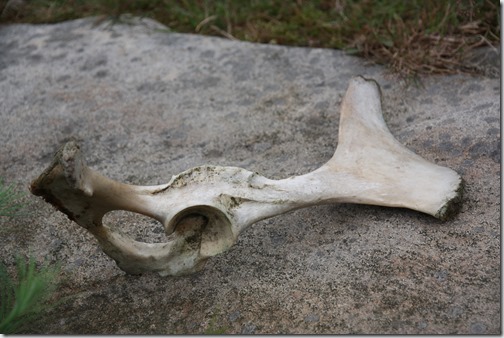 MARTIN_2019_07_21_0483