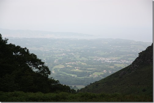 MARTIN_2019_07_21_0486