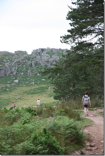 MARTIN_2019_07_21_0488