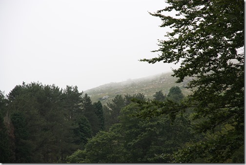 MARTIN_2019_07_21_0489