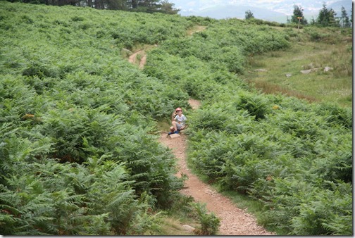 MARTIN_2019_07_21_0493