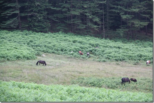 MARTIN_2019_07_21_0499