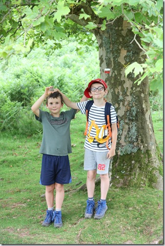 MARTIN_2019_07_21_0524