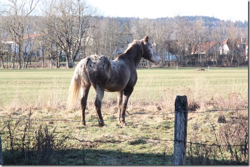 MARTIN_2020_01_01_0626