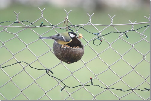 MARTIN_2020_01_03_0681