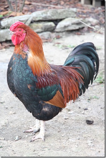 MARTIN_2020_01_03_0698